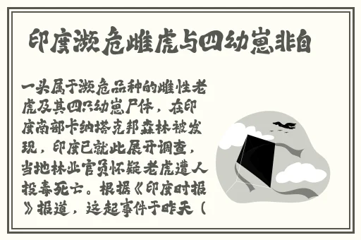 NXGX黑寡妇NXGX